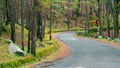 High trees and green grass all around the curve road built between the mountains Royalty Free Stock Photo