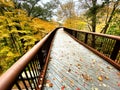 Forest bridge in autumn