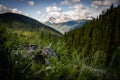 Rock hiding in the tall grass high up in the mountains