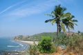 High view landscape with blue sky, sea, green palms at goa beach, coast line background Royalty Free Stock Photo