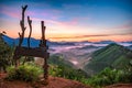 High views with views of mountains and fog interspersed among lush green forests at sunrise, golden light, sky and colorful clouds