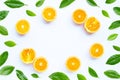 High vitamin C, Juicy and sweet. Frame made of fresh orange fruit on white background Royalty Free Stock Photo