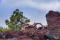 High volcanic mountain range of Tenerife island