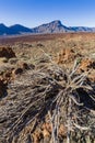 High volcanic mountain range of Tenerife island