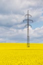 High Voltage Buses In A Yellow Field. Nature And Technology