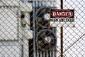 High Voltage Danger Sign Royalty Free Stock Photo