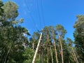 High-voltage DC power transmission line. A pole with highly suspended electric wires Royalty Free Stock Photo