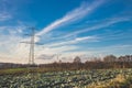 High voltage electric pillars