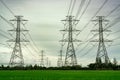 High voltage electric pylon and electrical wire at green rice field and tree forest. Electricity pylon with overcast sky. High Royalty Free Stock Photo