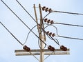 High voltage electricity pillars cables on electricity power tower against with blue sky background. Transmission lines