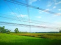 The high-voltage electricity pole leaning over the green fields Royalty Free Stock Photo