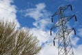 Electricity pylon and tree Royalty Free Stock Photo