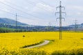 High-voltage electricity pylons in yellow oilseed field Royalty Free Stock Photo