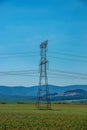 High voltage lines and power pylons in a green landscape on a sunny day with clouds in the blue sky Royalty Free Stock Photo