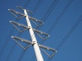 High voltage mono pole