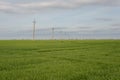 High voltage pillars in green grass field rustic landscape of pillars against cloudy sky background Royalty Free Stock Photo