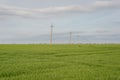 high voltage pillars in green grass field rustic landscape of pillars against cloudy sky background Royalty Free Stock Photo