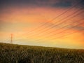 High Voltage Pole Power Utility Line Tower Electric Voltage Hight Transmission Energy Station Sunset Background Distribution Grid Royalty Free Stock Photo