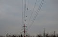 The high voltage poles are painted white and red stripes. The plastic balls on the wires are used as a safety feature to highlight