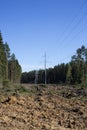 High-voltage power line in the forest. Deforestation for modern progress.