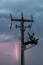 High voltage power line with lightning and thunderstorm on the evening sky background.