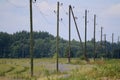 Electricity poles in field near the forest. Royalty Free Stock Photo