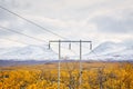 High voltage power lines in Abisko national park, Sweden Royalty Free Stock Photo