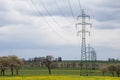 High voltage power lines above spring meadow. Electricity poles Royalty Free Stock Photo