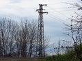 High voltage power lines against gloomy blue sky and leafless trees. Old system electric power grid view. Electric pillars poles. Royalty Free Stock Photo