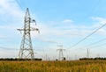 High voltage power lines on blue sky background. Electric transmission pylon tower. Wire electrical energy. Electricity concept Royalty Free Stock Photo