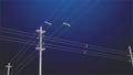 High voltage power lines electricity poles Royalty Free Stock Photo