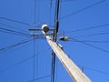 High Voltage Power Lines intersect at a wooden Utility pole with Royalty Free Stock Photo