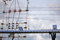High voltage power lines and solar panels, symbolizing renewable and electrical energy integration Royalty Free Stock Photo