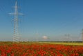 High-voltage power lines on the poppy fields of Crimea Royalty Free Stock Photo