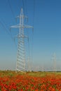 High-voltage power lines on the poppy fields of Crimea Royalty Free Stock Photo