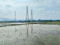 High Voltage Power Lines Reflected in Flooded Rice Paddy Royalty Free Stock Photo