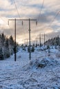 High voltage power lines in a sunny winter forest in Sweden Royalty Free Stock Photo