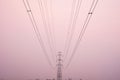 High Voltage Power Lines on sunset scene background Royalty Free Stock Photo