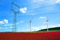 High voltage power lines with wind turbines in crimson clovers field. Royalty Free Stock Photo