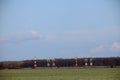 High Voltage Power Post Electric Poles on green field Royalty Free Stock Photo