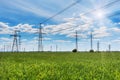 A high voltage power pylons in the green wheat field.