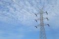 High Voltage power tower line Royalty Free Stock Photo