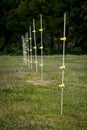 High voltage protective fence against bears