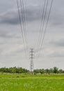 High voltage pylon over the paddy land. Royalty Free Stock Photo