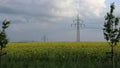 High voltage pylons. Field with flowering oilseed rape. Royalty Free Stock Photo