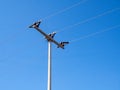 High voltage tower blue Sky Royalty Free Stock Photo