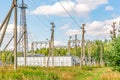 High-voltage transformer substation in the forest Royalty Free Stock Photo