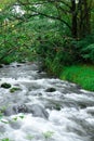 High volume of water flowing in river.