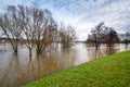 High water flood at elbe