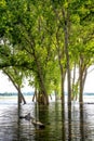 High water at Lake Lowell Idaho and flooded trees reflection